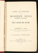 1893 Modern Dogs Of Great Britain & Ireland Antique Sporting Dog Reference Book-6