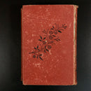 1886 Under Bayard's Banner by Henry Frith Antique Illustrated Irish Fiction Book-10