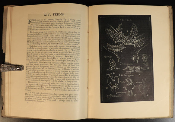 75fda531-f473-4986-9aa7-f4d89a8f445f