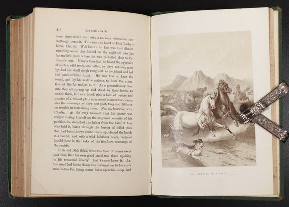 1882 The Dog Crusoe & His Master by RM Ballantyne Antique Adventure Fiction Book