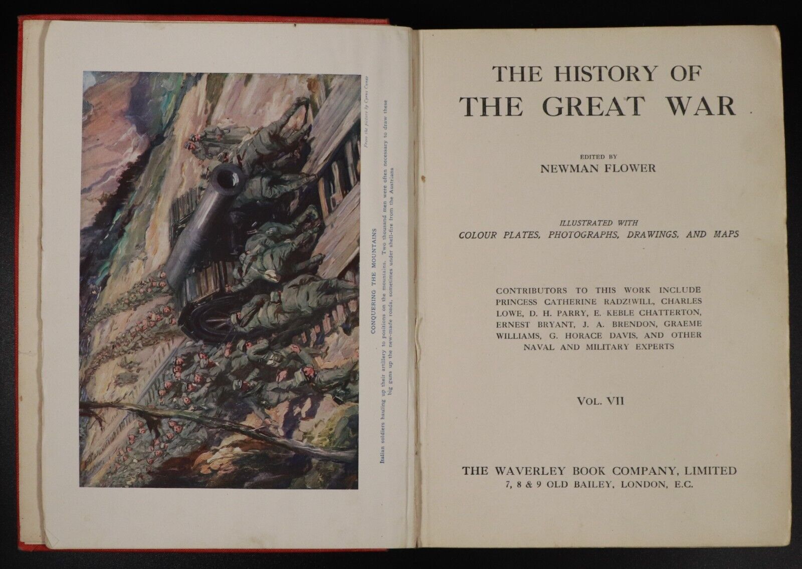 1915-22 8vol History Of The Great War Newman Flower Military History Books WW1