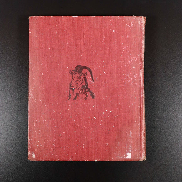 1907 Billy Whiskers' Travels by F.G. Wheeler Antique American Children's Book