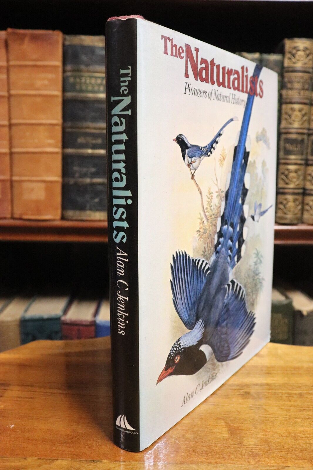 1978 The Naturalists by AC Jenkins Darwin Science & Nature History Book