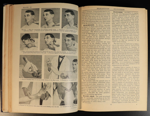 773b2152-49b2-47b7-b32f-280727149ce9