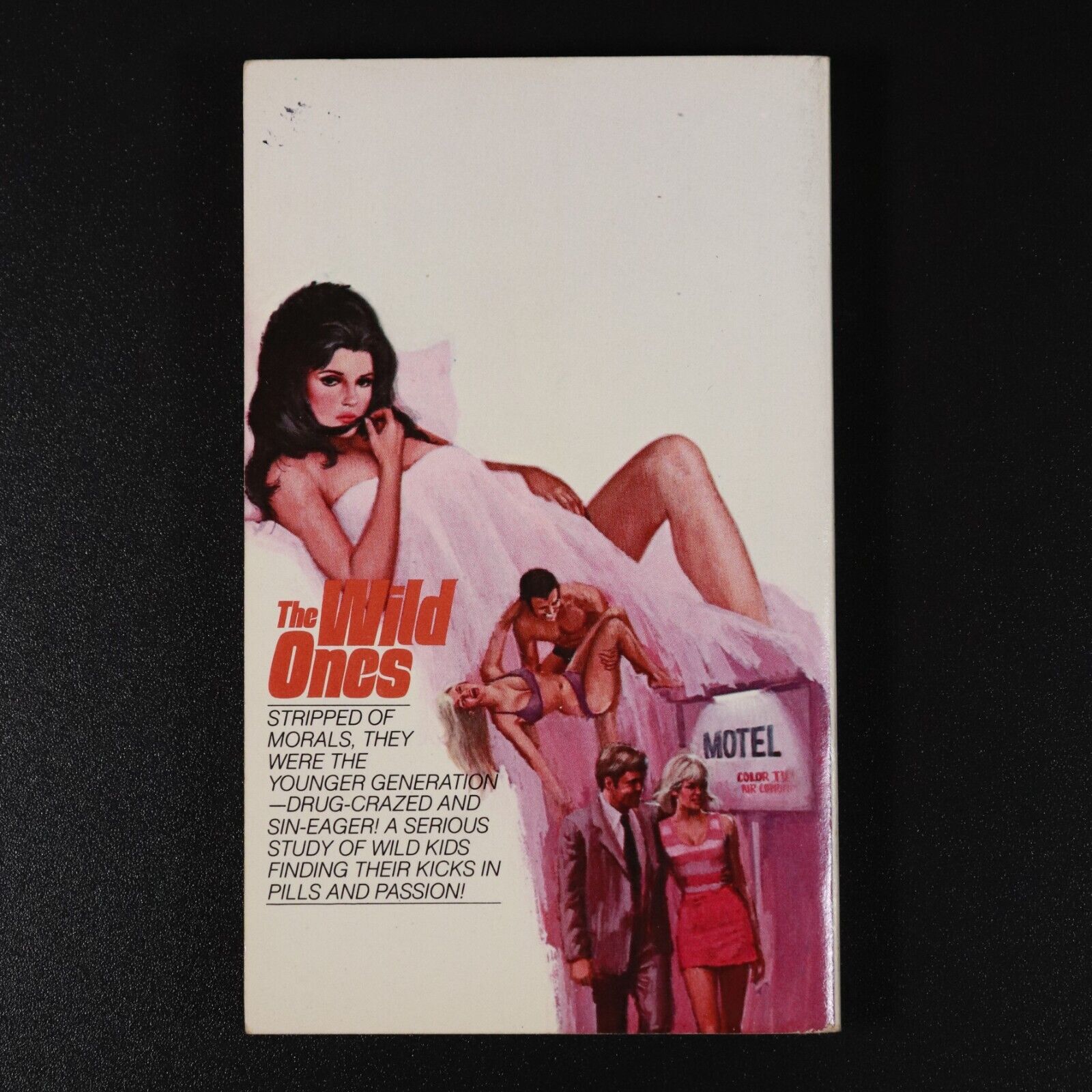 1974 The Wild Ones by Andrew Shaw Vintage Erotic Pulp Fiction Book 1st Edition