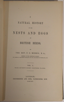 1864 3vol Nests & Eggs Of British Birds by F.O. Morris Antiquarian Book Set-4