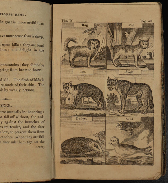 7872dbb8-d4c8-477b-9650-a4900c270081