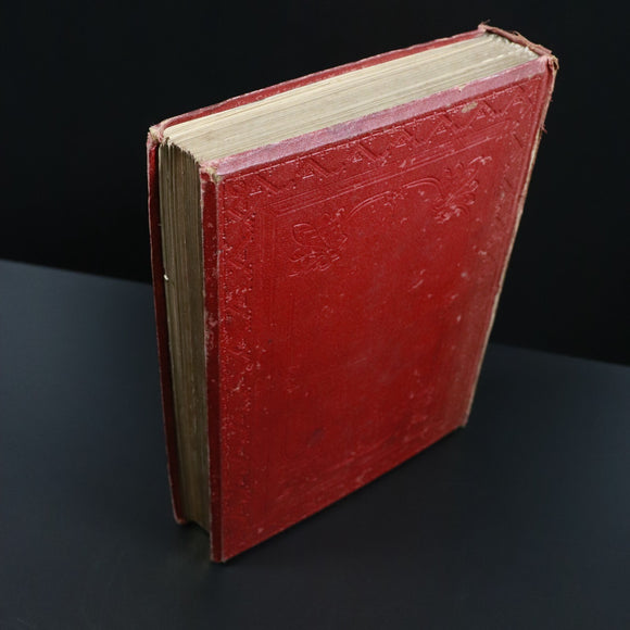 78e2f07f-e37b-4475-9159-4f3faf1e9049