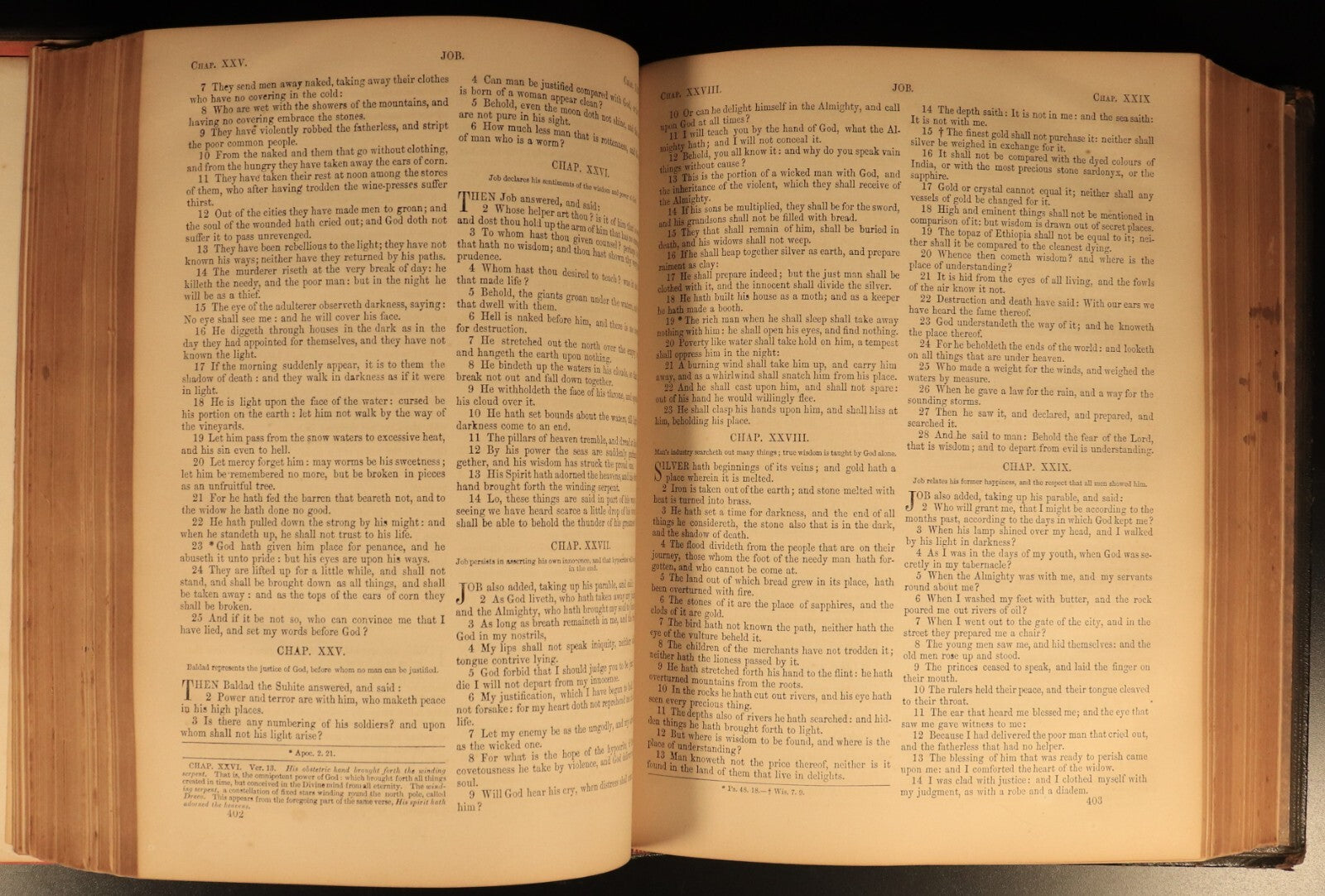 1865 The Pictorial Catholic Bible by Rev Dr Cullen Antiquarian Leather Bible