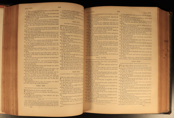 1865 The Pictorial Catholic Bible by Rev Dr Cullen Antiquarian Leather Bible