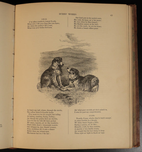 79aa31e0-a09b-4354-9ba8-ee4e71e88144