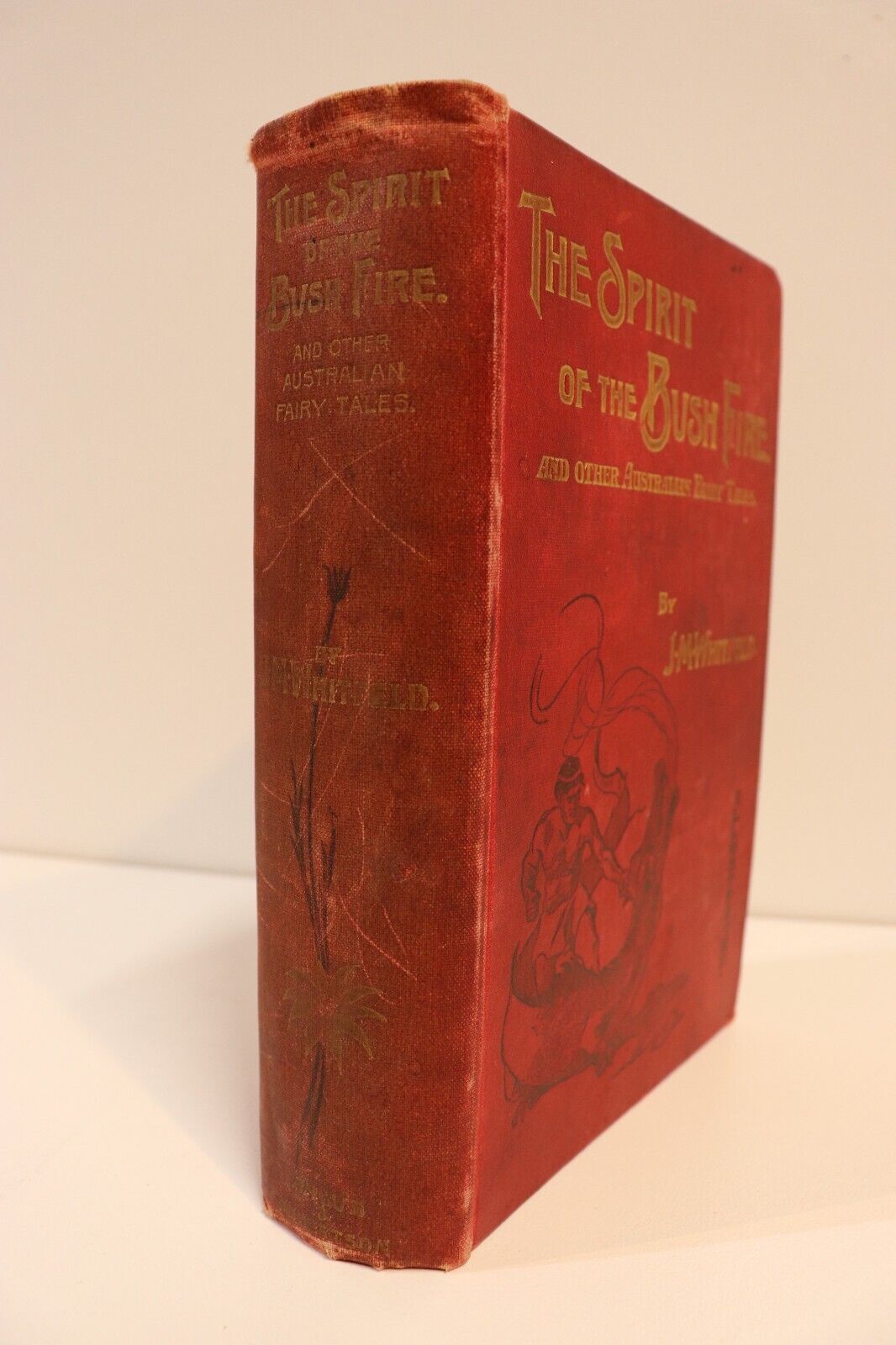 1898 The Spirit Of The Bush Fire: J Whitfeld Antique Australian Fiction Book