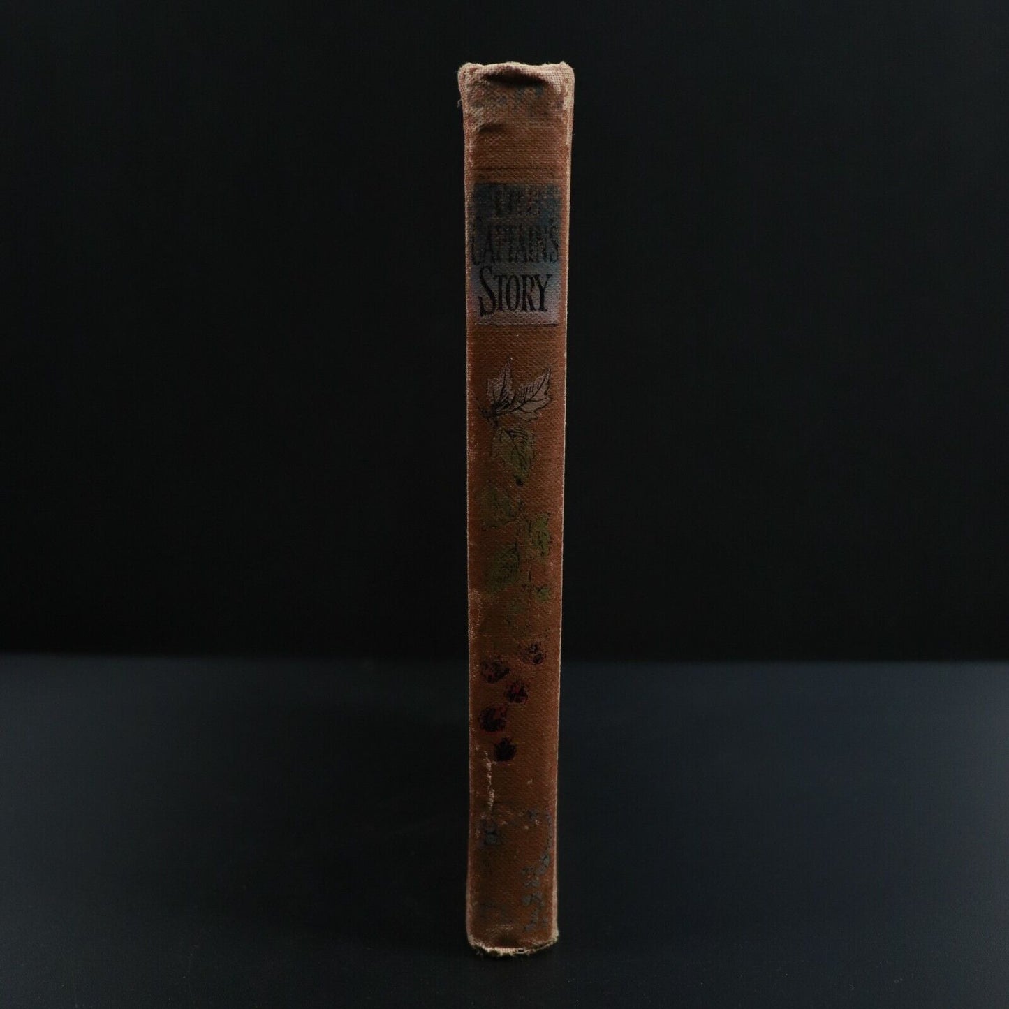 c1905 The Captain's Story or The Disobediant Son W.S Martin Antique Fiction Book