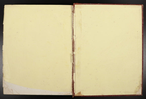 1882 Pasquin Newspaper Antiquarian South Australian News Journal Book 1867-1869