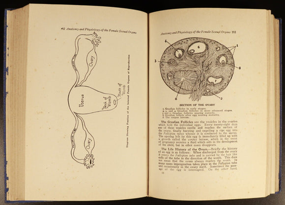 1934 Practical Eugenics by BG Jefferis & JL Nichols Antique Social Science Book