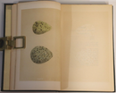 1864 3vol Nests & Eggs Of British Birds by F.O. Morris Antiquarian Book Set-7