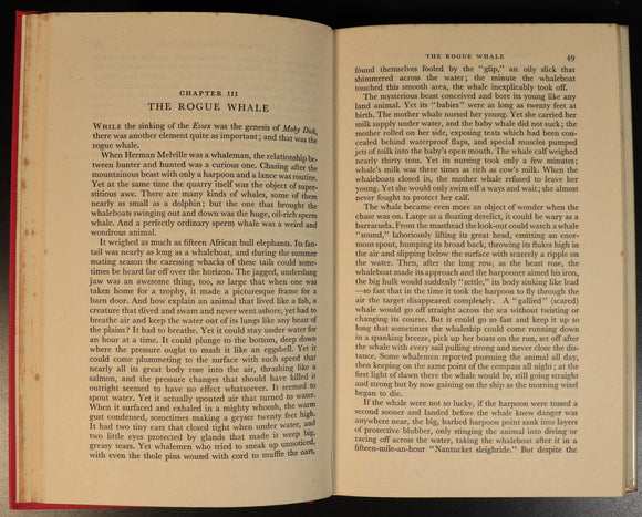 7c53311c-ed60-4bfd-bb38-0f720d7c87c3