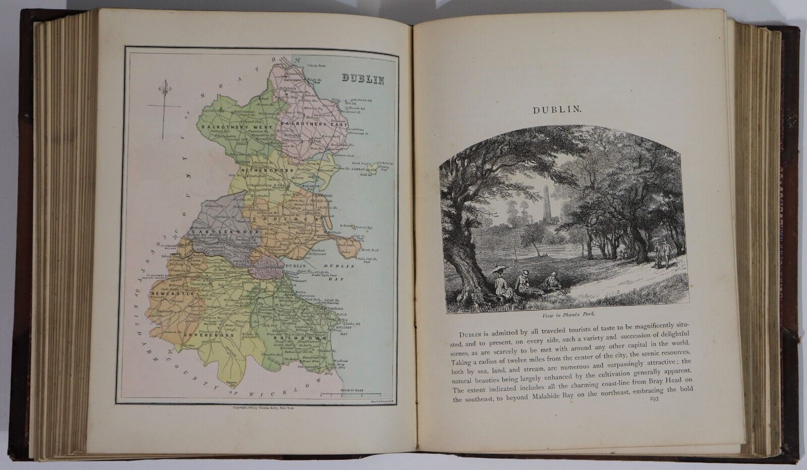 1884 Picturesque Ireland by John Savage Antiquarian Irish History Book Leather