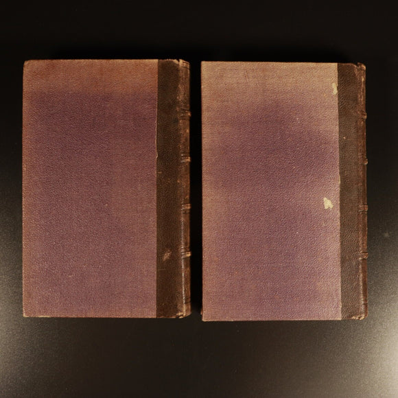 1863 2vol Manuel De l'Histoire De La Peinture Antiquarian French Art Books