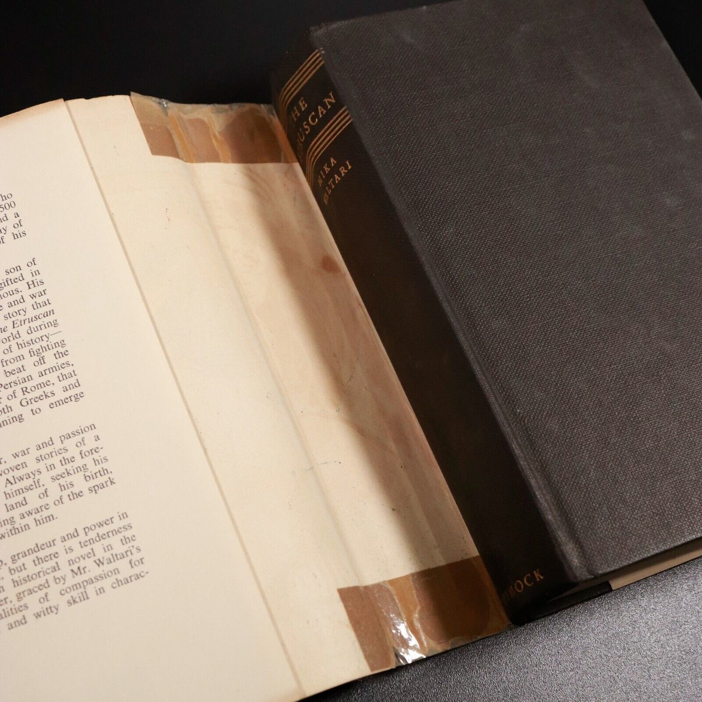 7e308e8f-358b-4f20-87f8-b629a6d8e052