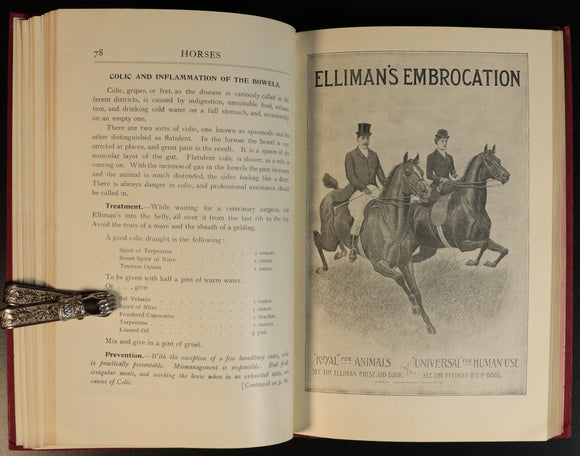 7f5163c6-11ec-455d-be31-9e3c14410a78