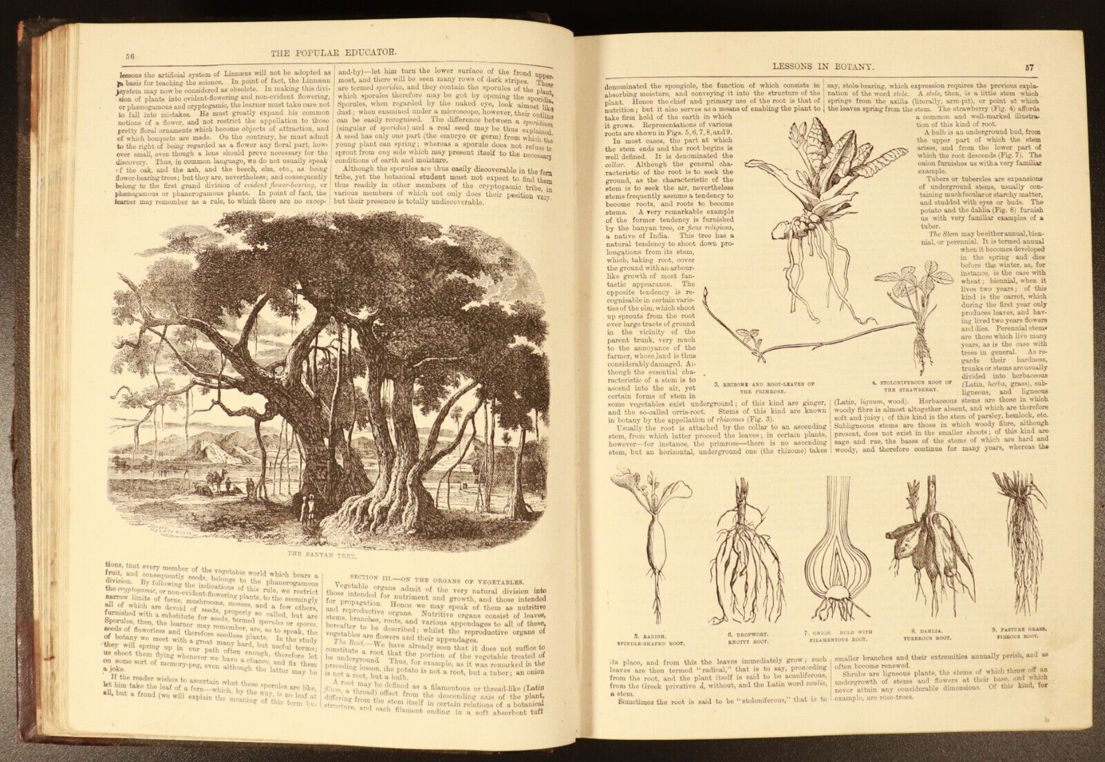 c1888 6vol The Popular Educator Antique General Reference Book Set Illustrated
