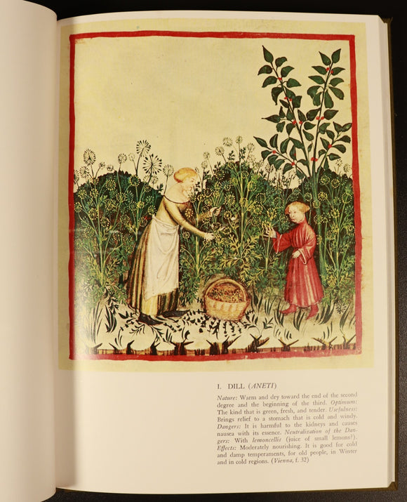 809ca237-e2cc-48cf-ae10-ce5b3c24dee8