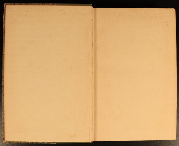 The Poetical Works Of Percy Bysshe Shelley c1895 Rossetti Antique Poetry Book