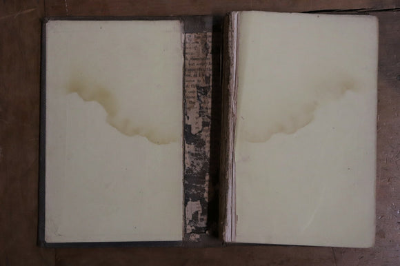 819b3875-4859-44b2-9056-dbd4c54f7ffc