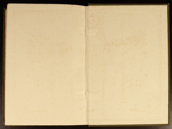 1907 Waste Castle by Winifred M. Letts Antique Fiction Book Illustrated 1st Ed