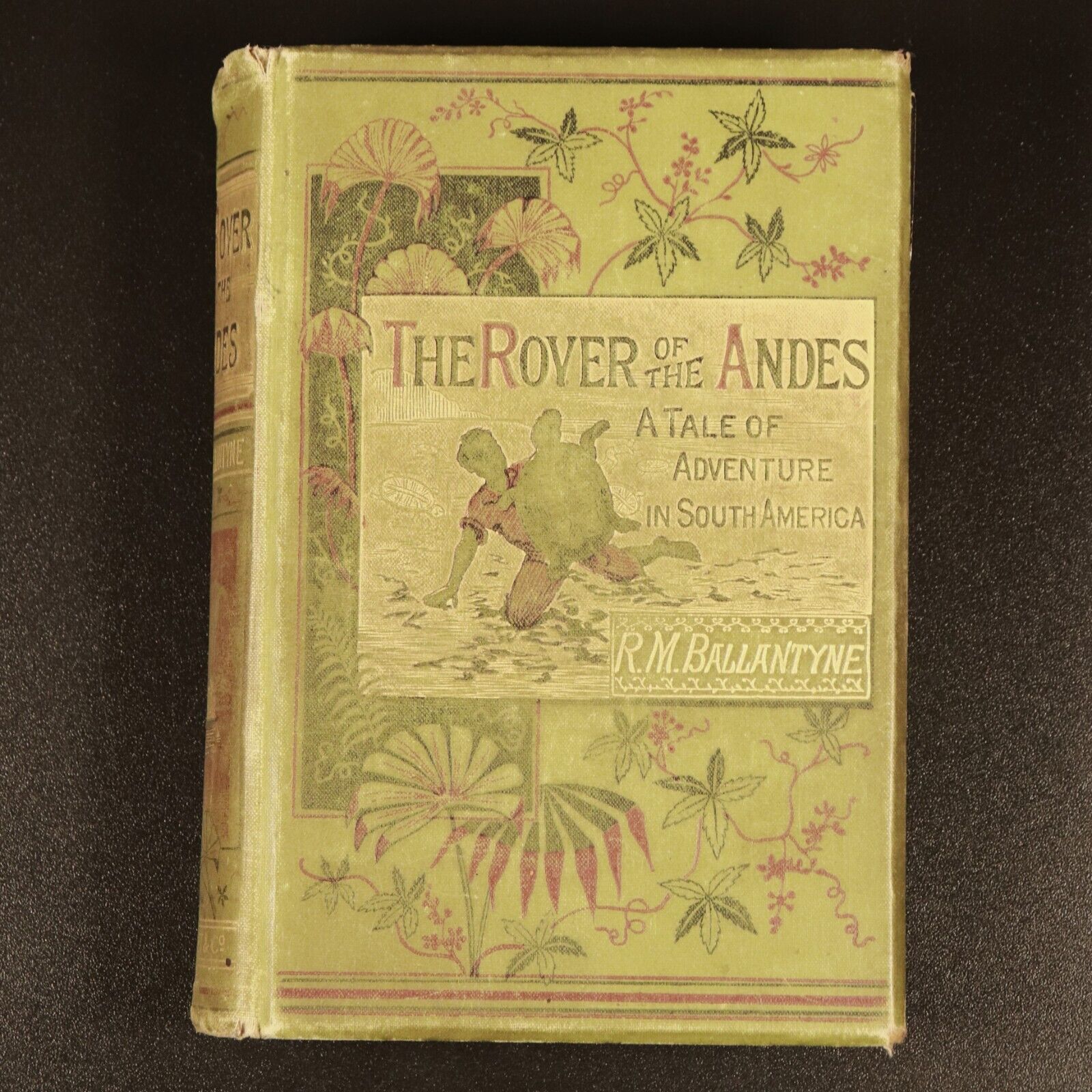 1885 The Rover Of The Andes by RM Ballantyne 1st Ed. Antique Exploration Book - 0