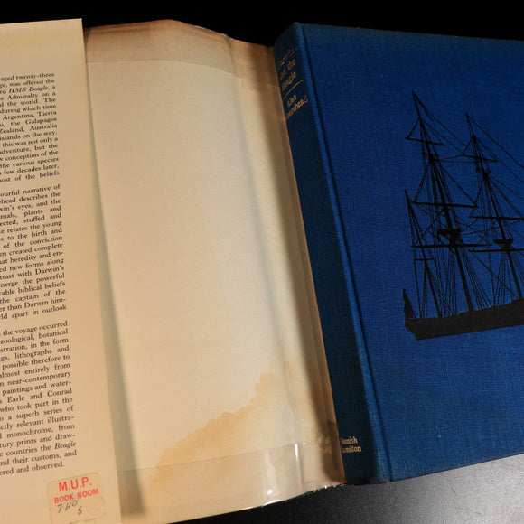 82483607-1b7e-4944-a2fa-b061b2727a9d