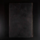 c1930 The Life Of Pasteur by R. Vallery-Radot Antique Science Medicine Book-15