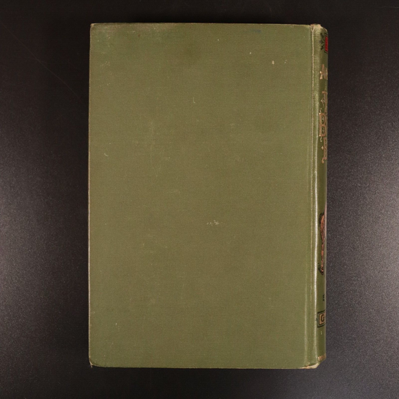 c1890 Adventures Of Two Brave Boys by G.A. Henty Antique Children's Book