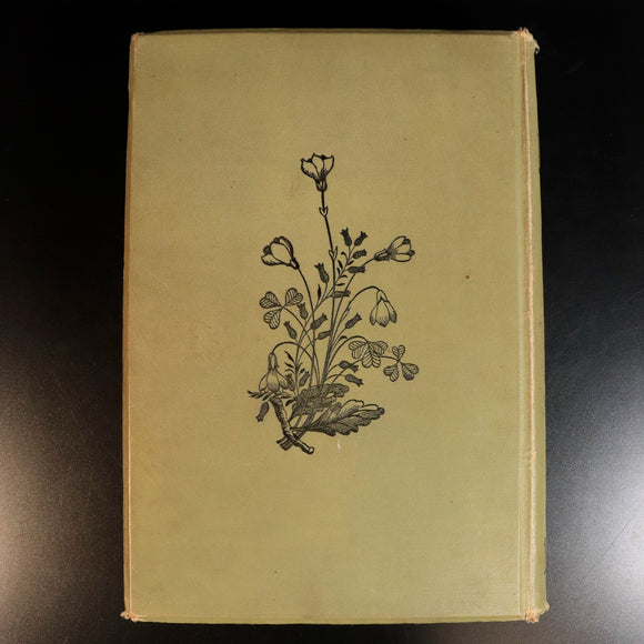 82efbc05-e9c7-4823-9348-424bf33e1199