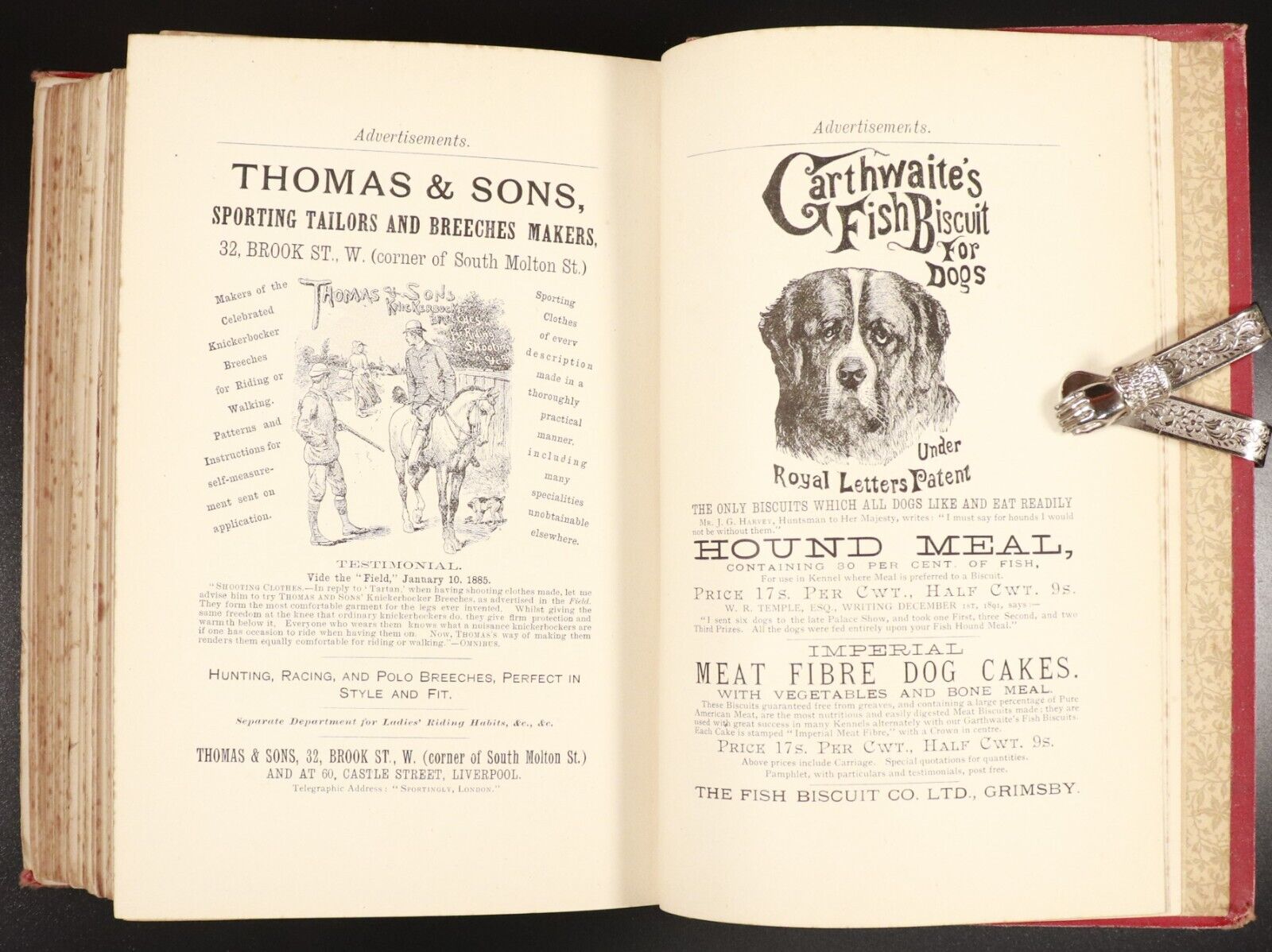 1893 Modern Dogs Of Great Britain & Ireland Antique Sporting Dog Reference Book