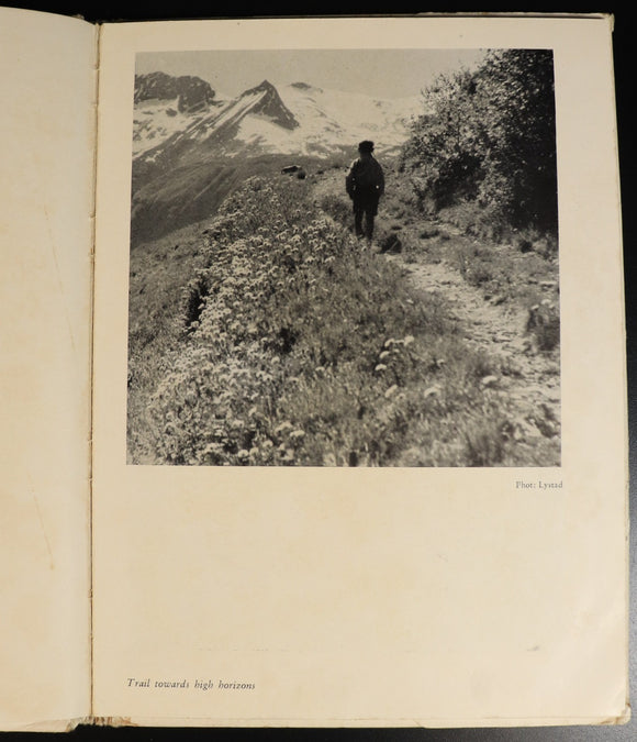 84704d34-7298-4a1b-88e7-6f047b26e366