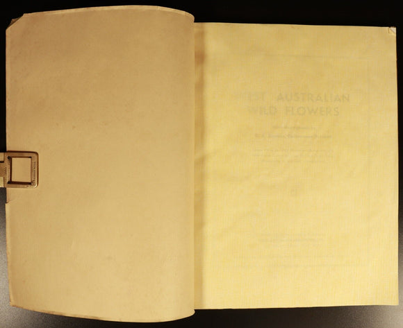 1951 West Australian Wild Flowers by C.A. Gardner Vintage Botanic Reference Book