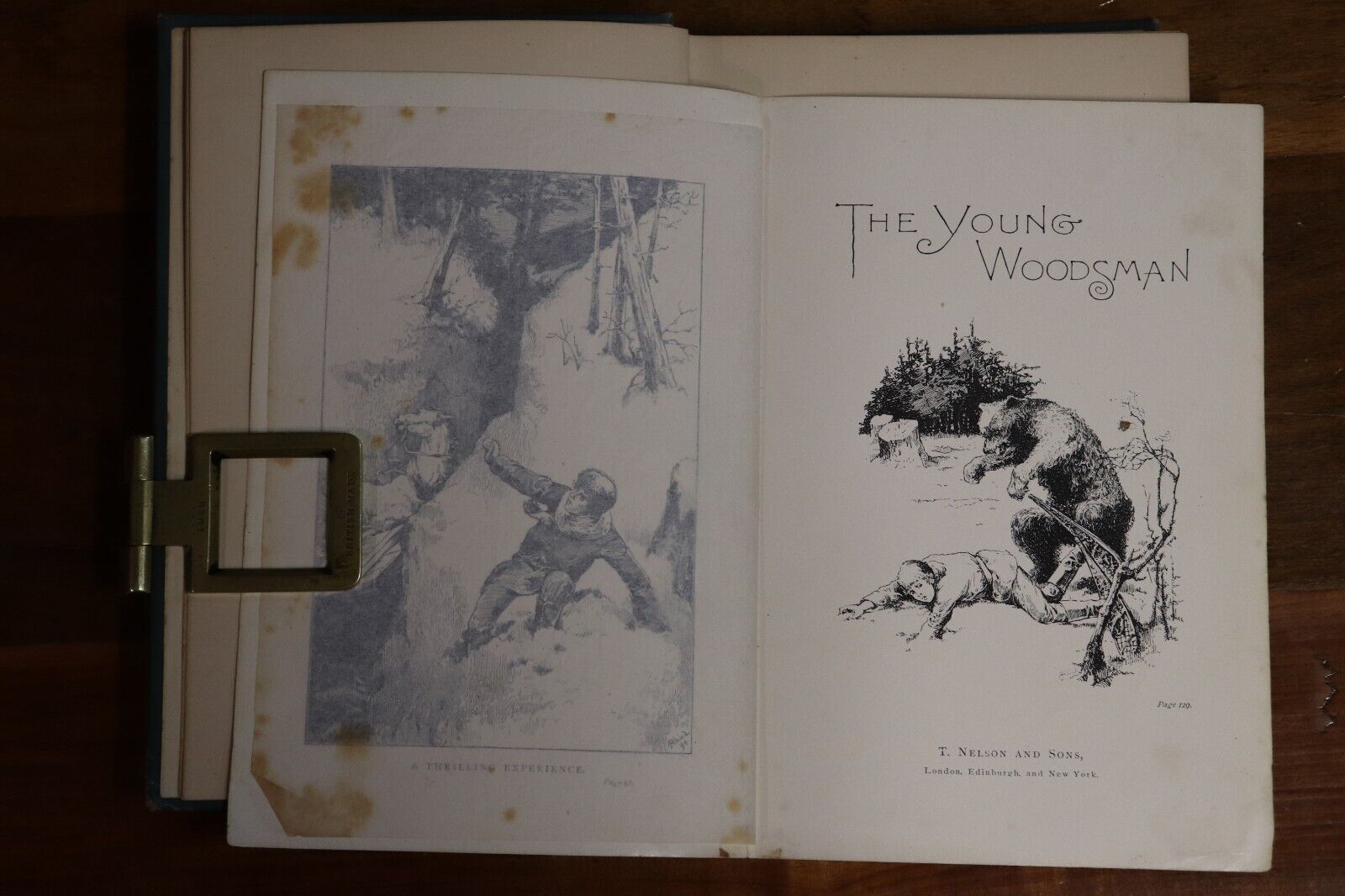 1897 The Young Woodsman by J. MacDonald Oxley Antique Fiction Book