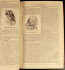 c1868 3vol Chambers's Encyclopaedia Antiquarian Reference Books Maps Australia-21