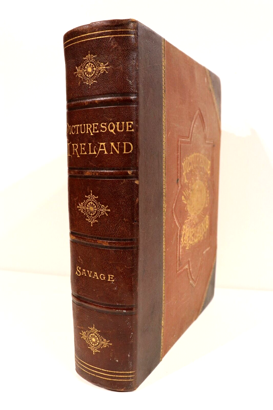 1884 Picturesque Ireland by John Savage Antiquarian Irish History Book Leather