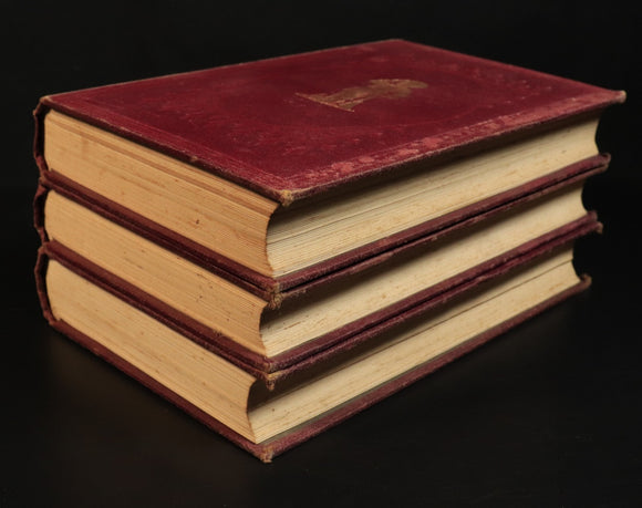 857b131a-ae09-4799-b857-3f4927609385