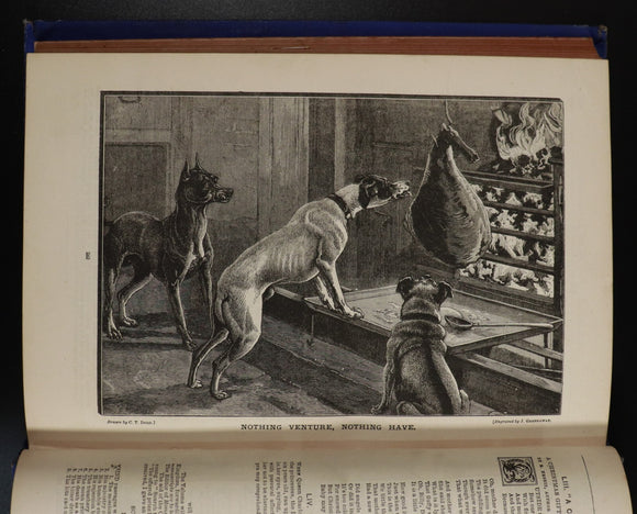 866e205d-2109-4148-96d1-a83238773ac8