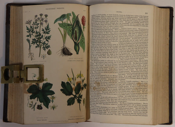 8683c256-0df5-4aec-a310-b7fad1bebcc4