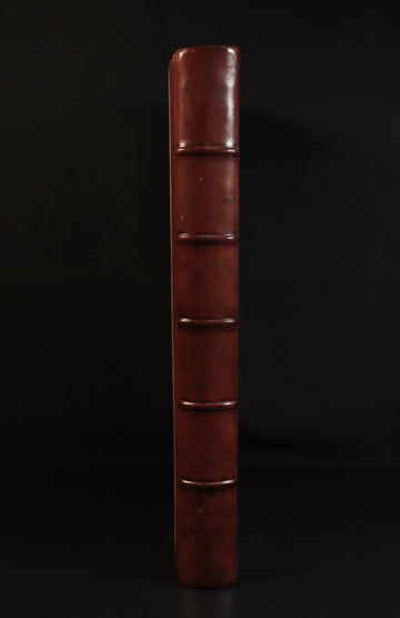 869877e6-b243-4967-9e92-f3a142d2e538