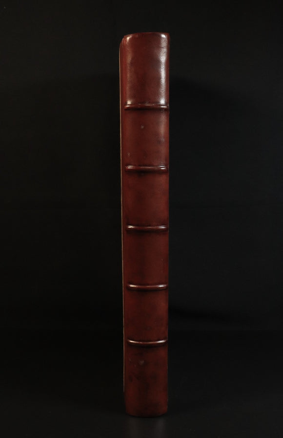 869877e6-b243-4967-9e92-f3a142d2e538