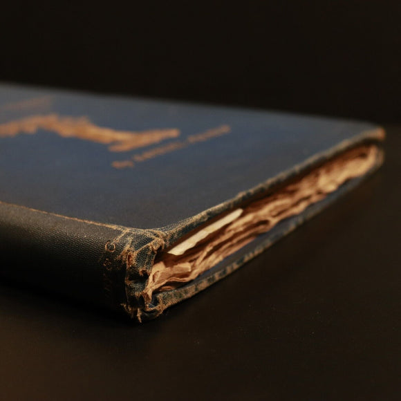 1889 The Shorter Poems Of John Milton With Samuel Palmer Antique Poetry Book 1st