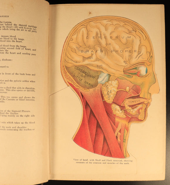 Vitalogy Encyclopedia Of Health & Home 1927 Antique Medical Reference Book