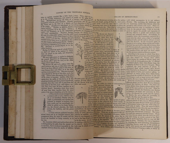 87459347-a229-4624-a69d-e82de00077d0