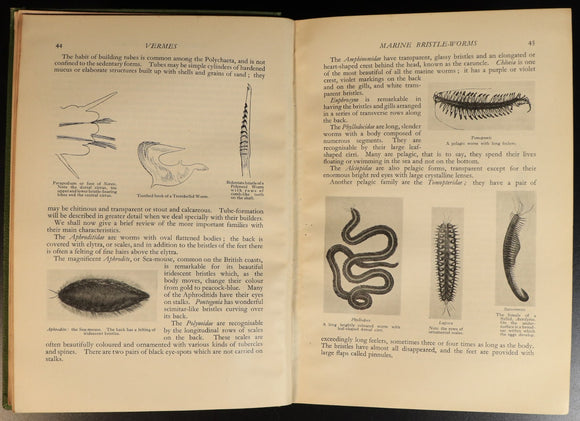 87f1ea38-bb7b-4275-8cad-c4d0cd41304d